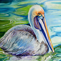 BROWN PELICAN of LOUISIANA